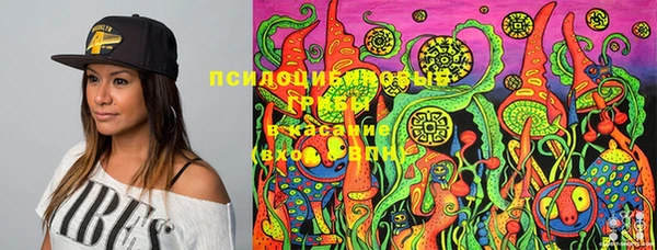 дурь Володарск